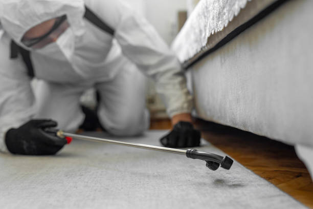Professional Bed Bug Control technician working in Williamson County County, IL